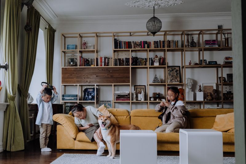 Live view of the family living room